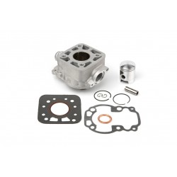 CILINDRAS NICASIL AIRSAL SUZUKI SMX TS RMX 48MM 2T