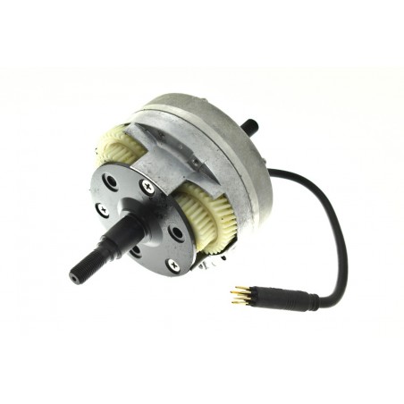 BAFANG FM G350.220.D 36V / 250W variklio remonto rinkinys