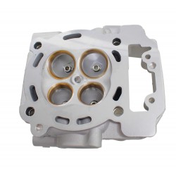 GŁOWICA CYLINDRA Z EGR SFA1000